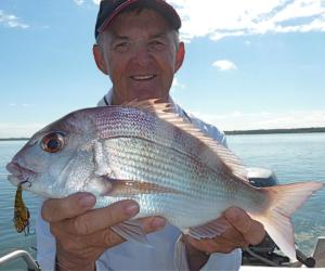 AAAAA_Snapper
